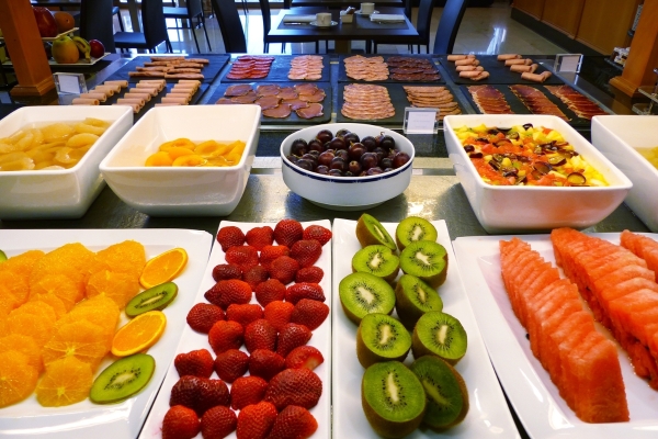 Hotel Meliá Girona